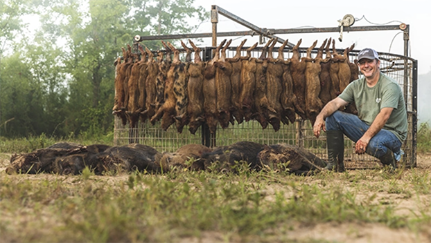 'If you have hogs we are coming after them.' Mississippi hog trapper reaching millions of users with social media message, videos